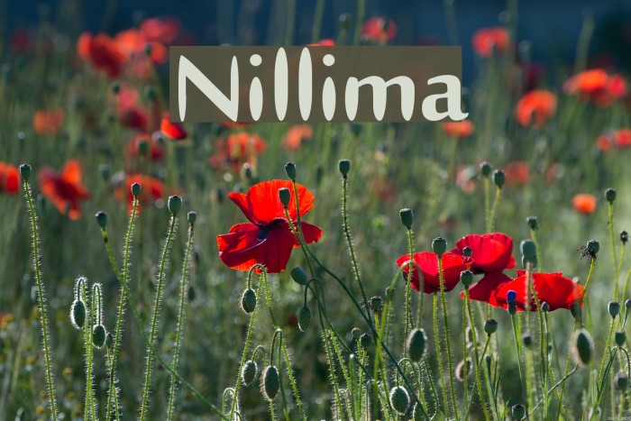 Nillima Example 1