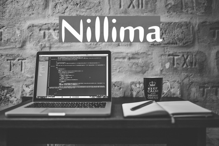 Nillima Example 2