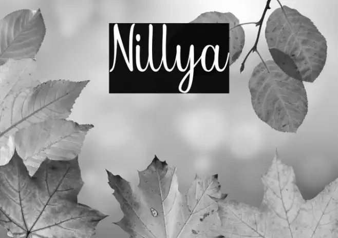 Nillya Example 1