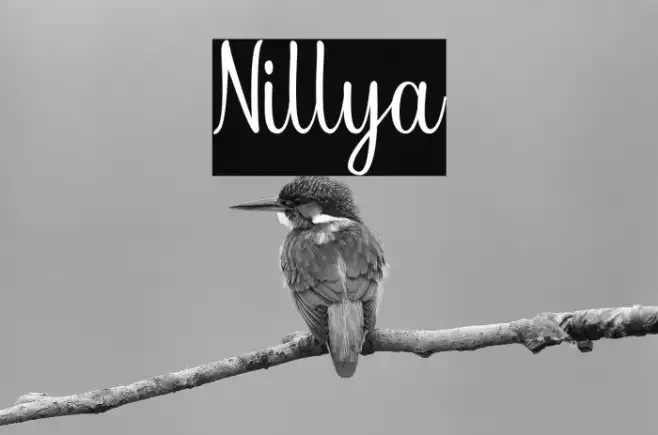 Nillya Example 2