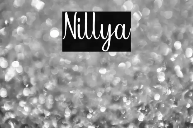 Nillya Example 3