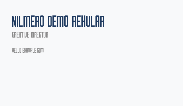 Nilmero DEMO Regular Business Card