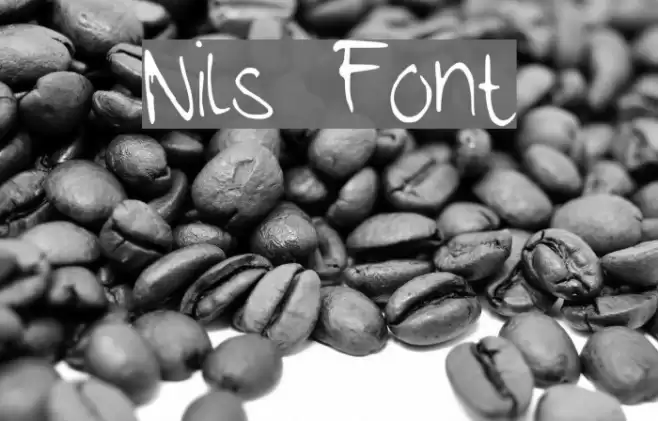 Nils خط examples