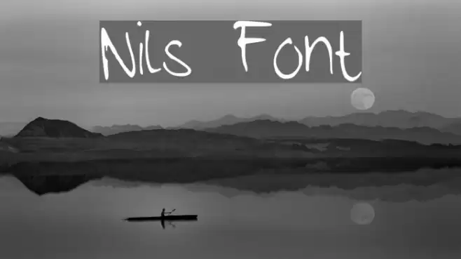Nils خط examples