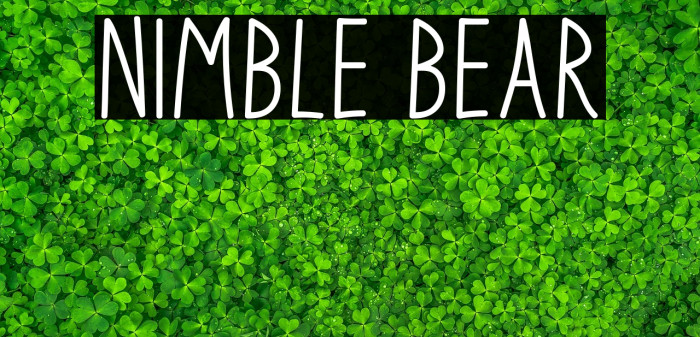 Nimble Bear Example 1