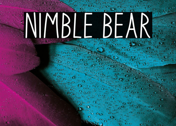 Nimble Bear Example 2