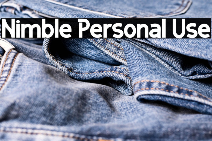 Nimble Personal Use Example 2