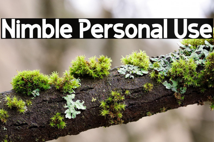 Nimble Personal Use Example 3