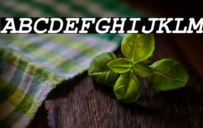 NimbusMono-BoldOblique Example 2