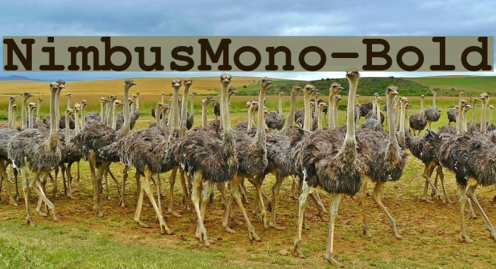 NimbusMono-Bold Example 1