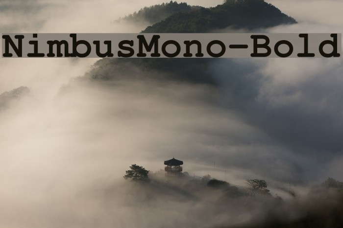 NimbusMono-Bold Example 2