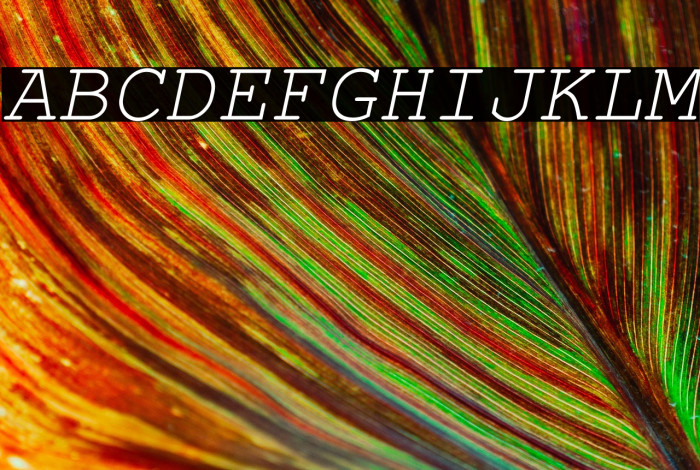 NimbusMono-Oblique Example 1