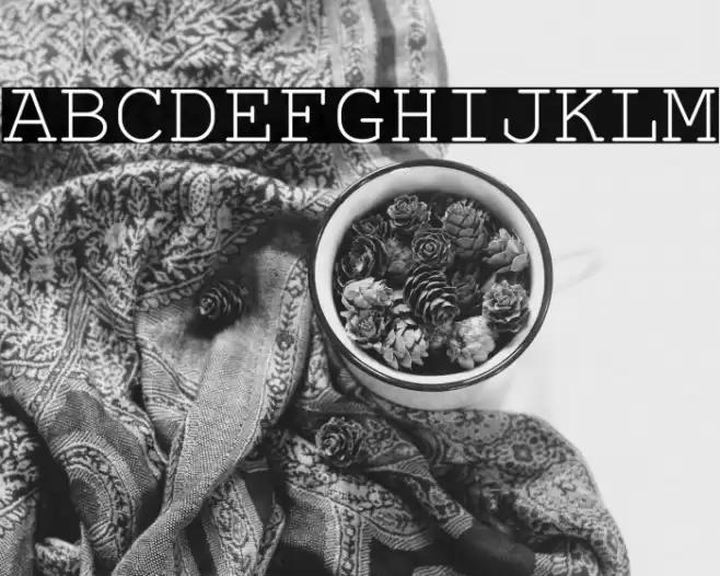 NimbusMono-Regular Font examples