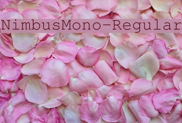 NimbusMono-Regular Font examples