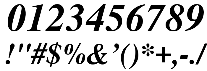 NimbusRomNo9L-MedIta Font OTHER CHARS
