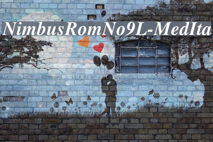 NimbusRomNo9L-MedIta Font examples