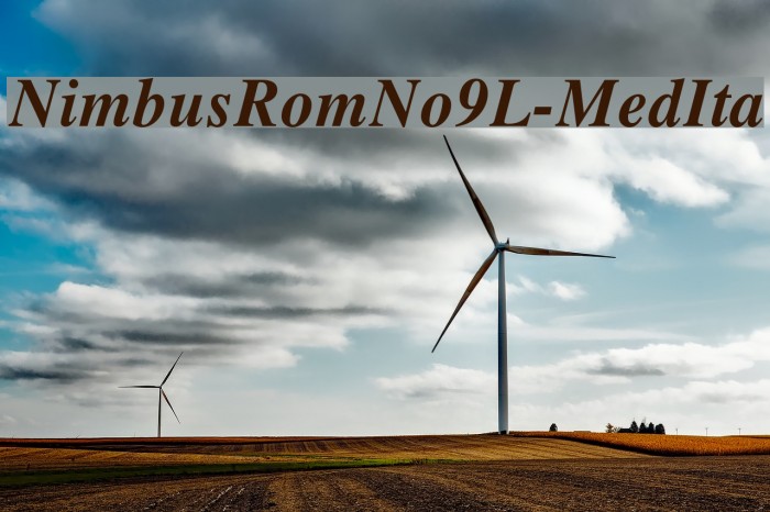 NimbusRomNo9L-MedIta Font examples