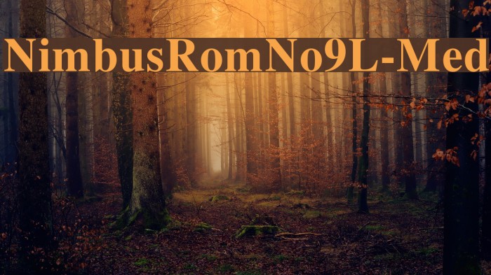 NimbusRomNo9L-Med Font examples