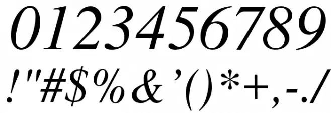 NimbusRomNo9L-RegIta Font OTHER CHARS