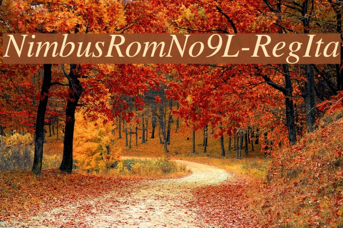NimbusRomNo9L-RegIta Font examples