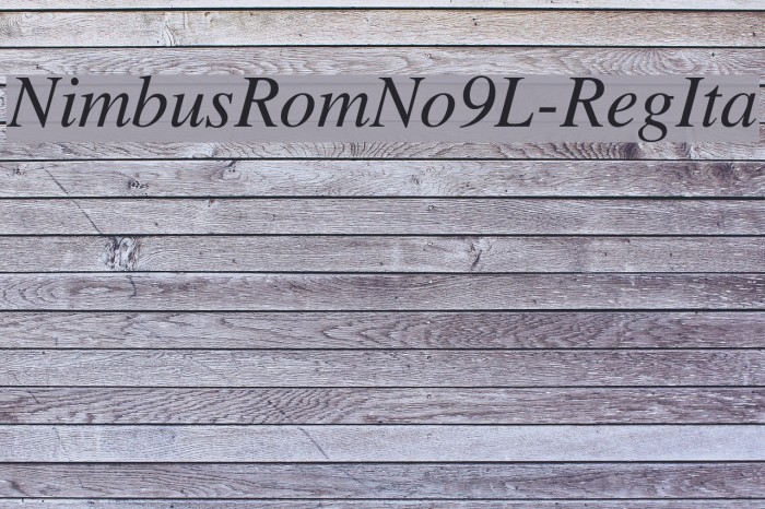 NimbusRomNo9L-RegIta Font examples
