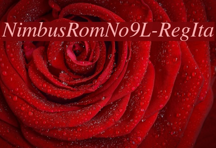 NimbusRomNo9L-RegIta Font examples