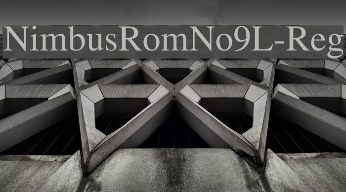 NimbusRomNo9L-Reg Font examples