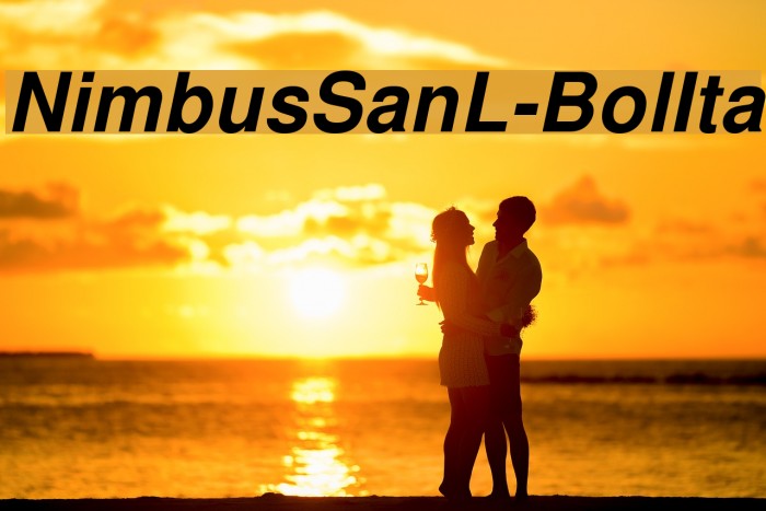 NimbusSanL-BolIta Font examples