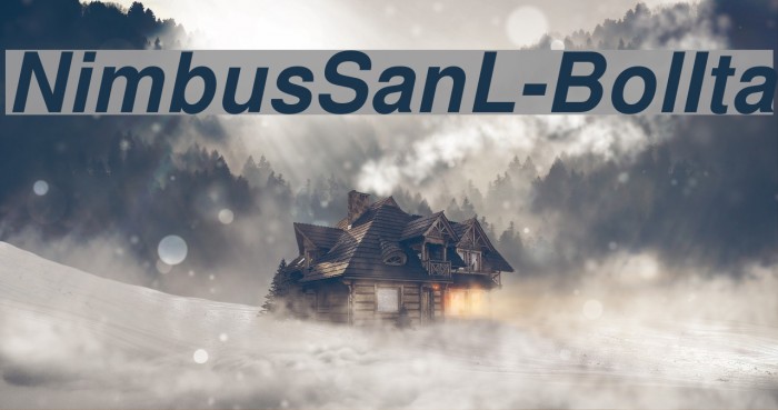 NimbusSanL-BolIta Font examples