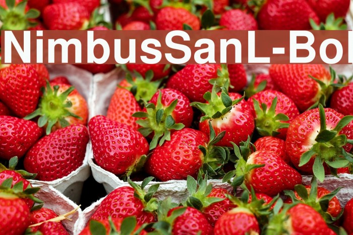 NimbusSanL-Bol Font examples