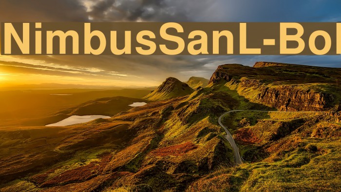 NimbusSanL-Bol Font examples