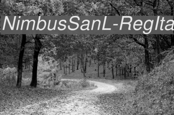 NimbusSanL-RegIta Font examples