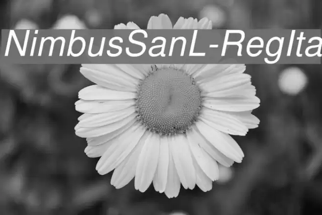 NimbusSanL-RegIta Font examples