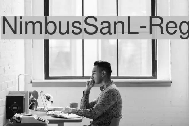 NimbusSanL-Reg Font examples