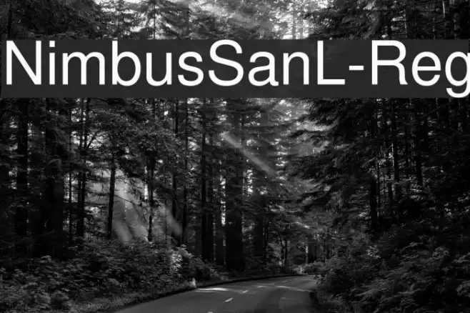 NimbusSanL-Reg Font examples