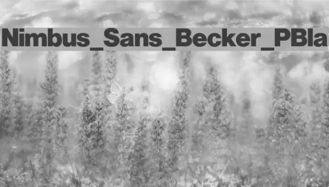 Nimbus_Sans_Becker_PBla Polices examples