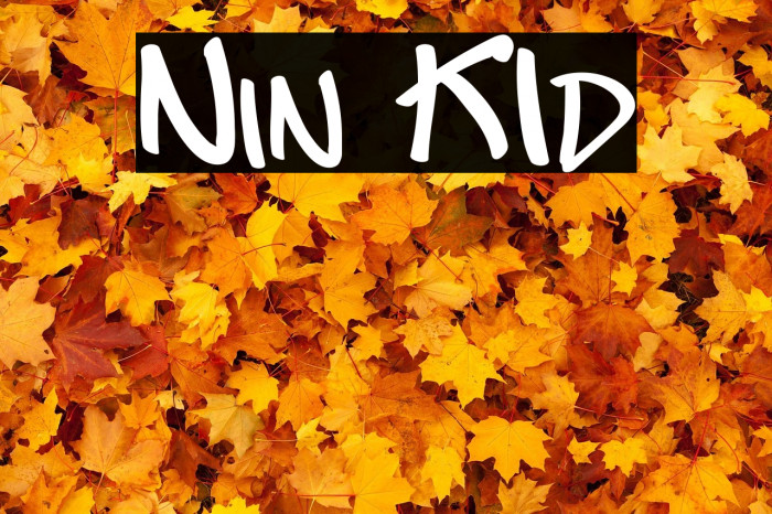 Nin KId Example 1