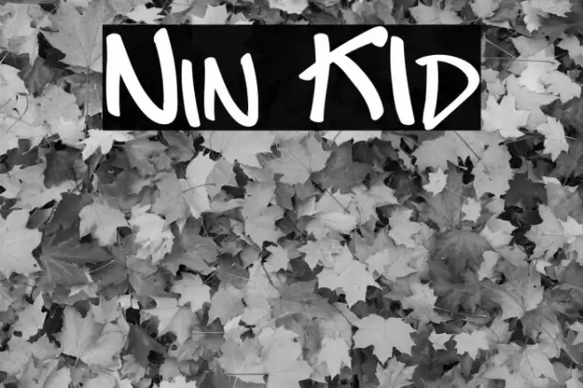 Nin KId Font examples
