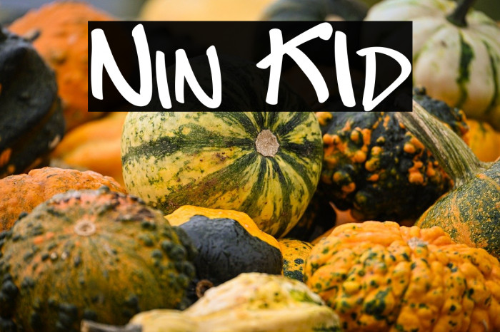 Nin KId Example 2