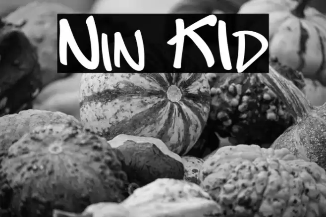 Nin KId Font examples