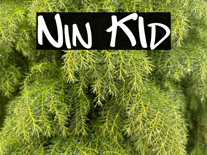 Nin KId Example 3