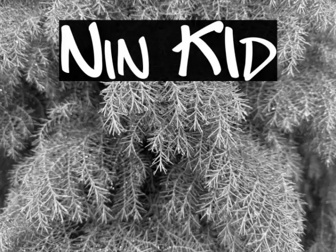 Nin KId Font examples