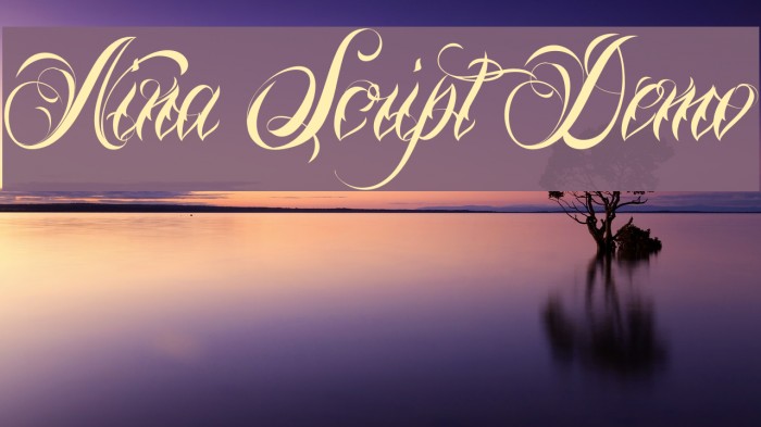 Nina Script Demo Font examples