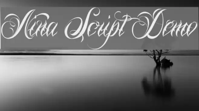 Nina Script Demo Font examples