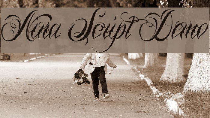 Nina Script Demo Font examples