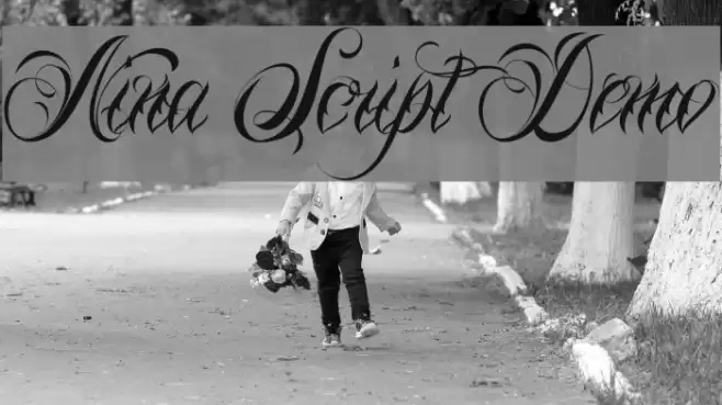 Nina Script Demo Font examples