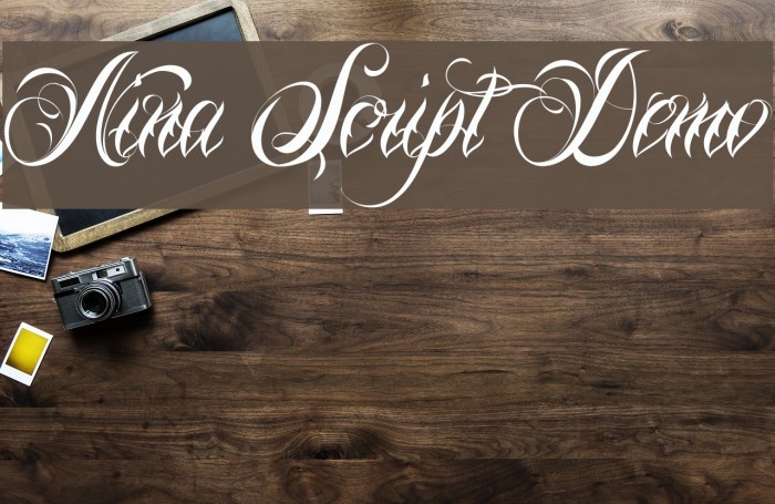 Nina Script Demo Font examples