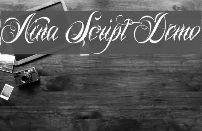 Nina Script Demo Font examples