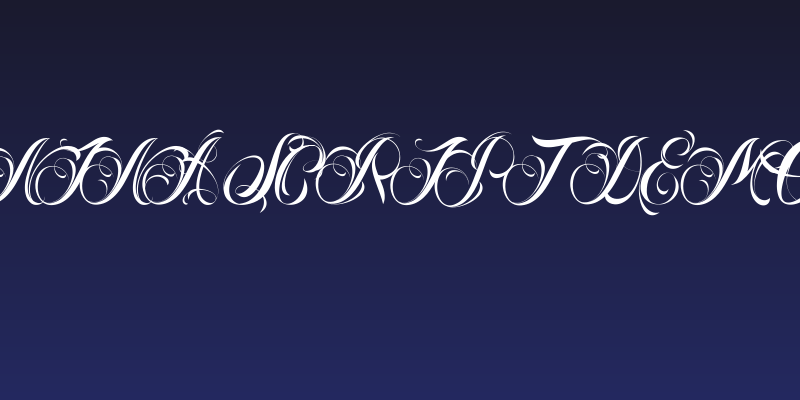 Nina Script Demo Social Header