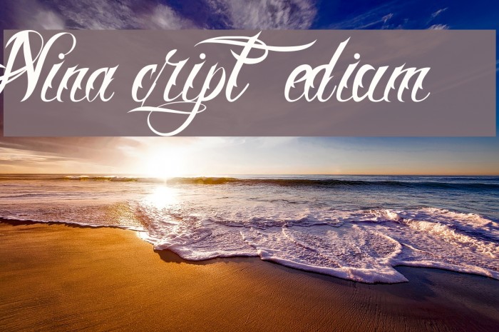 Nina Script Medium Font examples